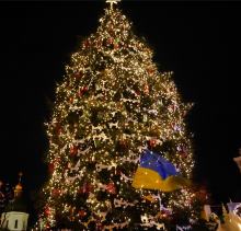 Выращивание Новогодних Елок Выращивание Новогодних Елок