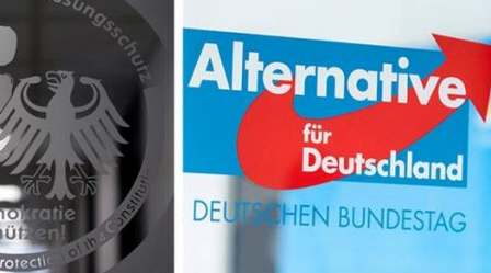 Суд временно запретил спецслужбам надзор за партией "Альтернатива для Германии"