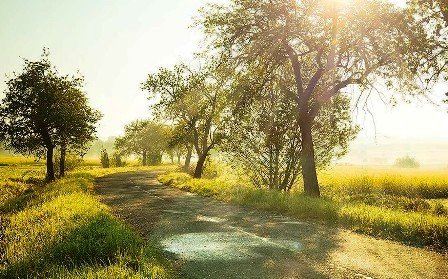 �������������� ��������� ����� ���������� �����