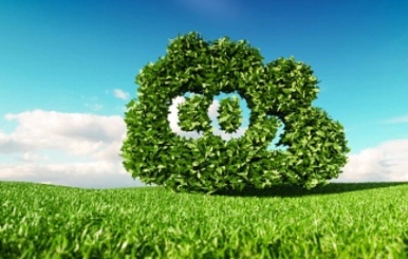  CO2    2023 