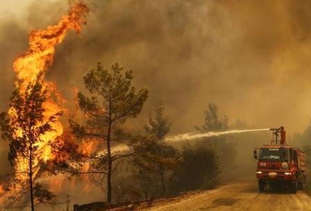 Греция, Турция и Италия охвачена лесными пожарами