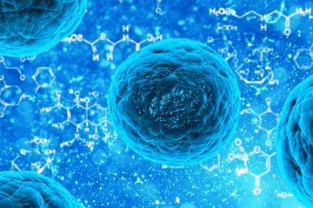 ������ ������� ��������� ��������-�������