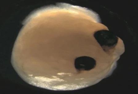 ������� ��������� � �������� �������� ����� � ��������� ����