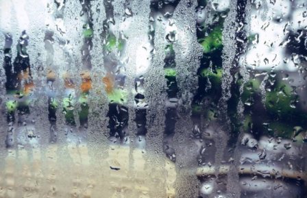 ��������� ���������: ������ ������� ��������� ������� ����� ��� ����