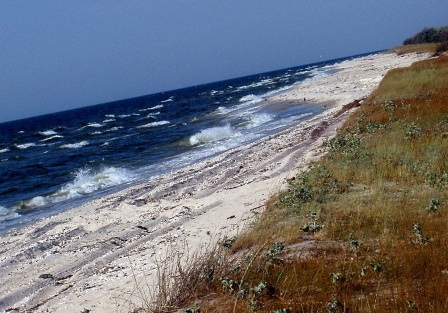 � ������� ���� ������� ������������� ��� ��� ������� ���� 