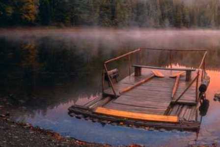 ���������� ������������� CMIFF 2021 ������ ���������