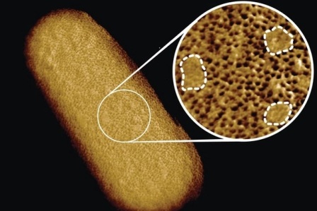 ������ ���������� ������ ����� � ��������