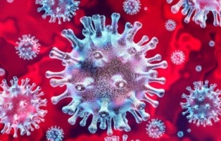 Учеными открыт новый штамм коронавируса B.1.1529