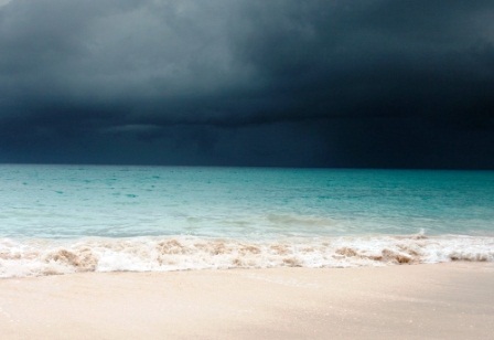 ����������� �����: ������ ������� ����� ��� ������