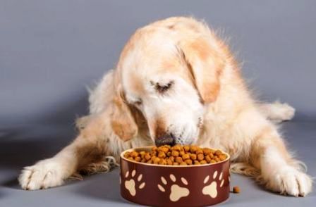 ���� ��� ����� � ����������� ������ ������� ��� �������