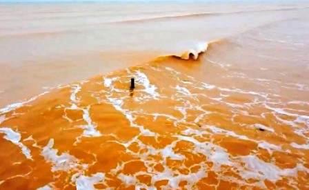 В Черном море у крымского побережья вода окрасилась в желтый цвет