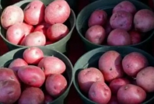 ���������� ������ ������ ��������� � ��������� ���� ���������