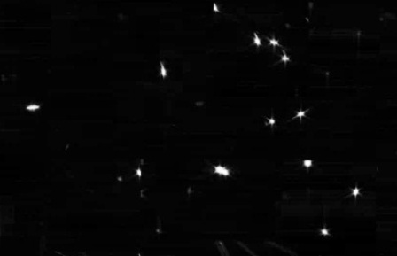 Телескоп Уэбба сделал первые фотографии звезды