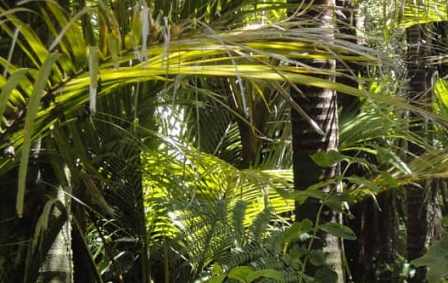 ������ ������� ��������, ������� �� ������ ����������� ����������