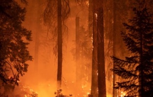 ������ ������� ����� ���������� ������������� ������ �������