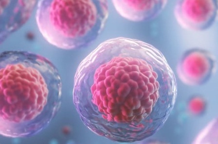 ������ ������� � ��������� �������� ����� ������