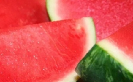 �������� ������ ����� ���� ����������������� ������ ��� ��������