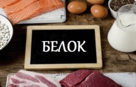 Не усваивается белок: 3 главных признака Не усваивается белок: 3 главных признака