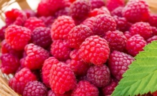 Цены на малину растут: станут ли ягоды предметом роскоши