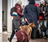Швейцария установила новый порядок оказания помощи украинским беженцам