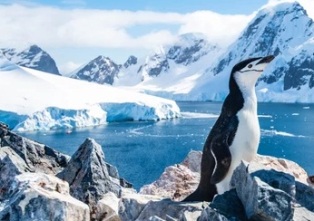 Ледяной щит вокруг Антарктиды рекордно снизился