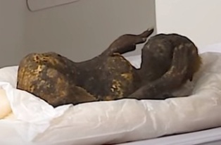 Тайна мумии русалки разгадана: ученые