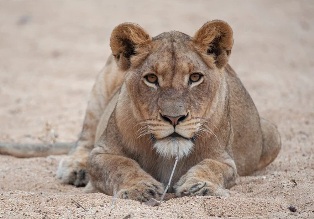 ������ ����� 20 ��� � ���� ���� �������� ����� ����