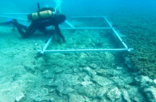 ��������� ���������� ��������� � ������ �� ��� ���������