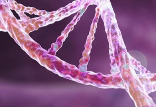 ������������ ���� �� �������� �� ����������� � �������