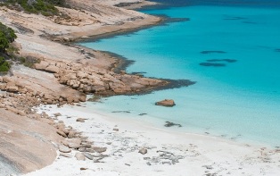 ������ ����� �������� ���� � ����