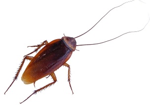 ��������� ������ ����� ���������: ������������ ������ ������