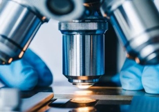 �������� �����������, �������� � ������ �������� 46 000 ���