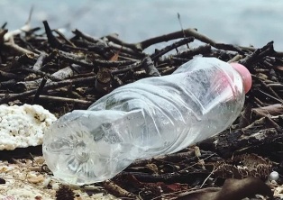 Ученые модифицировали бактерии расщепляющие пластик