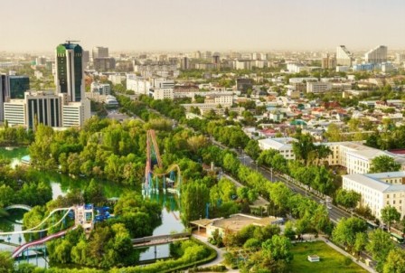 Interne Reformen des Pr&#228;sidenten Usbekistans Mirziyoyev: Wirtschaft und Politik