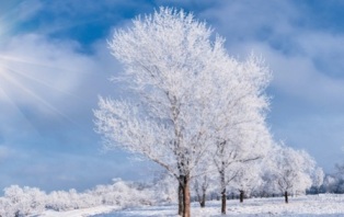 В Украину придут ранние сильные снегопады с морозом