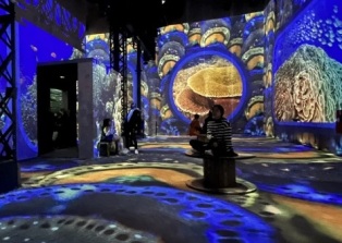 ����������� �������� �� ��� ������: ����� ��������������������� ������