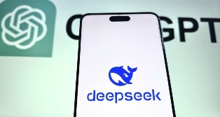   DeepSeek    