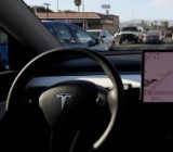 Tesla    ,       FSD