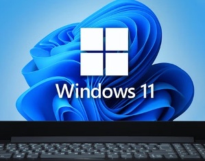 Microsoft   Windows 11:   