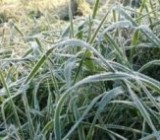 В Украину идут сильные морозы до -20 градусов: где будет холодно