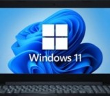 Windows 11    : Microsoft     