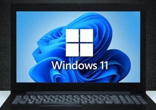 Windows 11    : Microsoft     