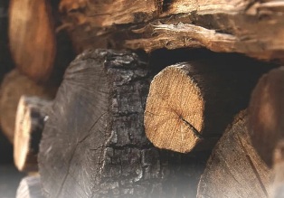 Бесплатное тепло или штраф: разрешено ли собирать дрова у дороги или в лесу Бесплатное тепло или штраф: разрешено ли собирать дрова у дороги или в лесу