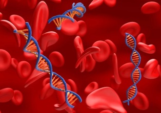 Генная терапия: надежды велики, но нужно терпение Генная терапия: надежды велики, но нужно терпение