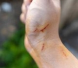 ��� ������, ���� ��� ������� ������: �������� ��������