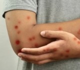 ���������� ���������� ����� ����� ������ � ��������, ������������ �� ����