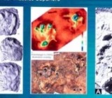 � ������ ������� ������������ ��������: ������� ������ ������ ����������