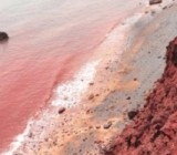 ���� ������������ � �������: ��������� ������� �� ������� �����