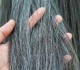 ������������ ������� ��������: ����� ������ ����� �������� �� ����