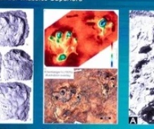 � ������ ������� ������������ ��������: ������� ������ ������ ����������